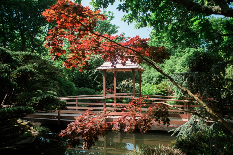 The Japanese Garden